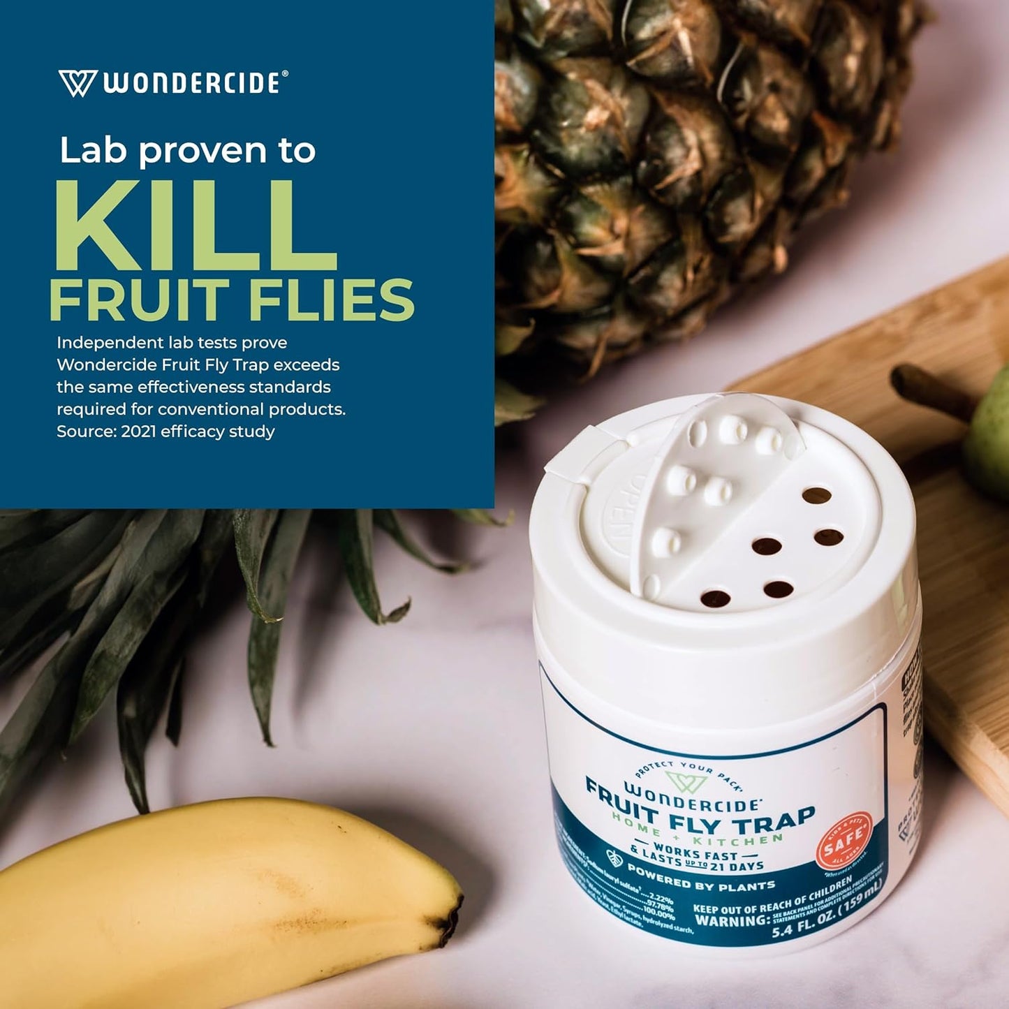 wondercide fruit fly trap home + kitchen