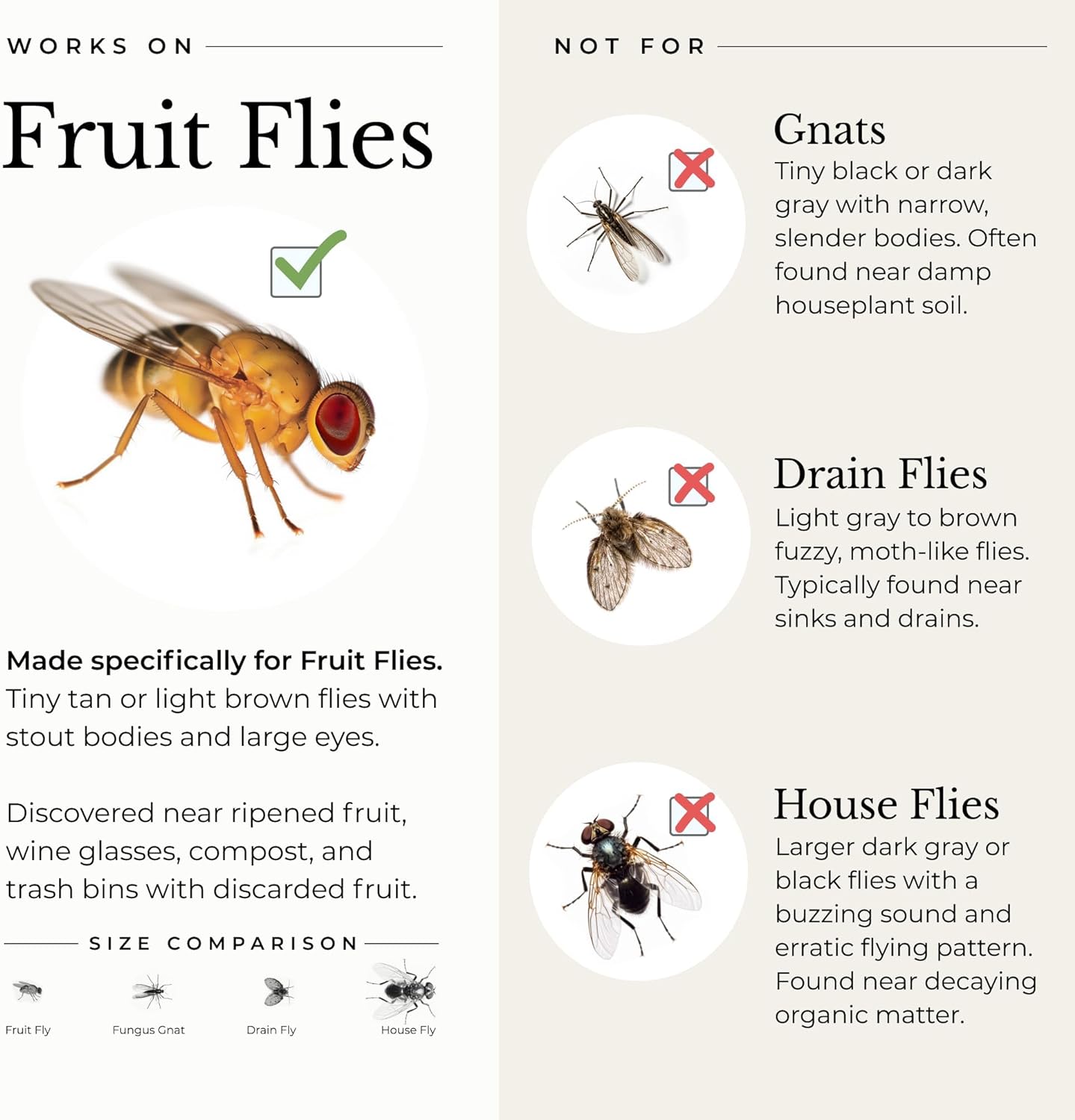 wondercide fruit fly trap home + kitchen