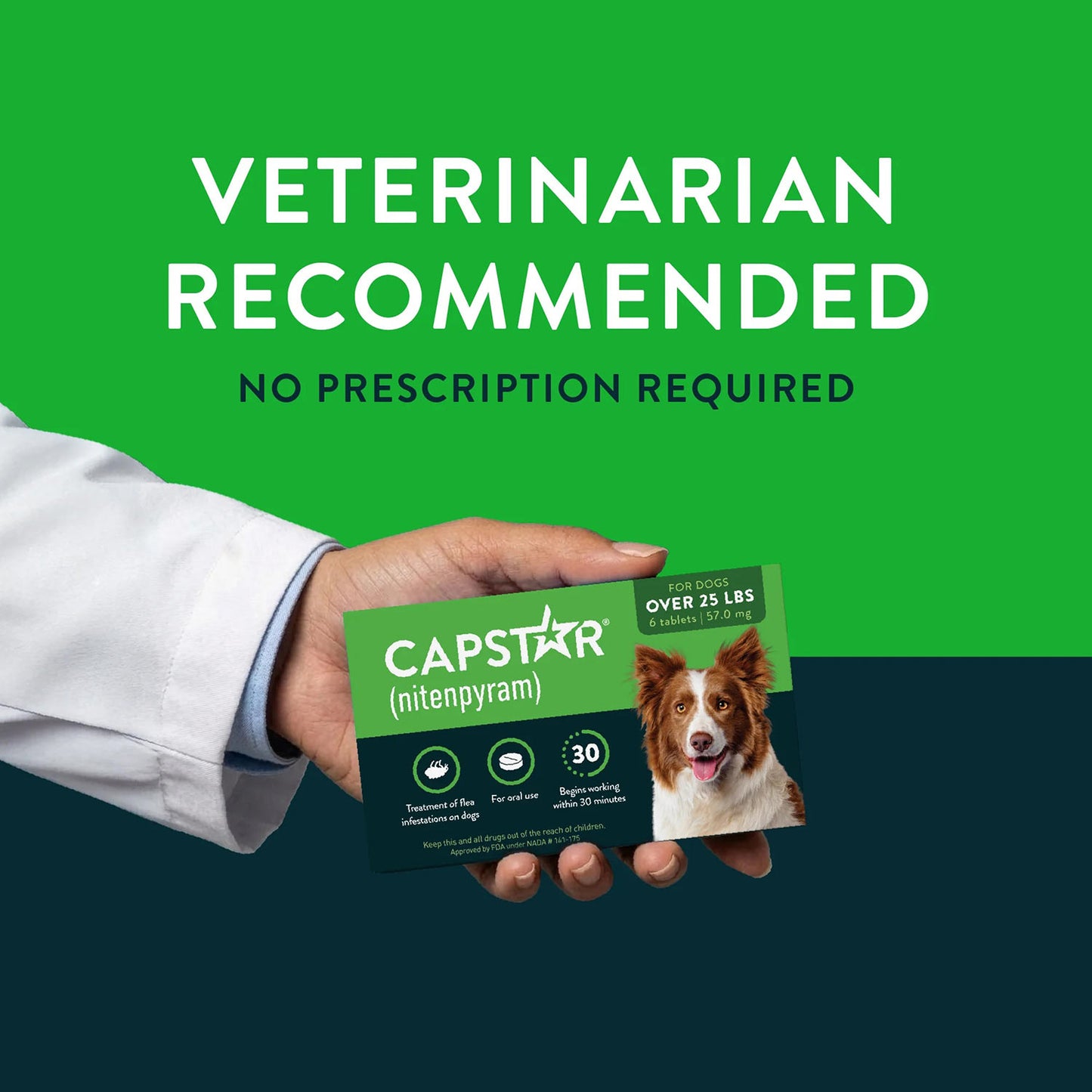 capstar dog 25 lbs+ (6ct) green
