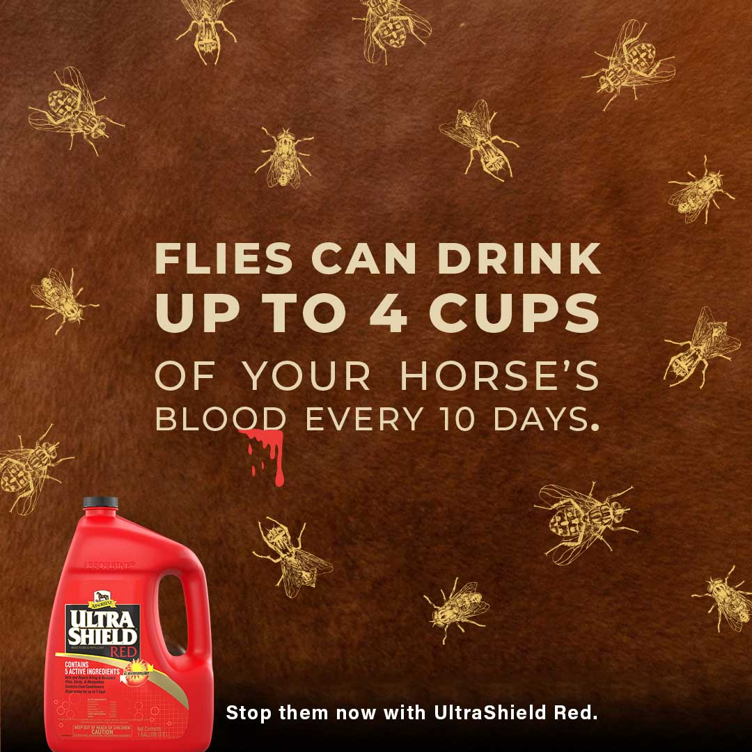 ultrashield red, gallon