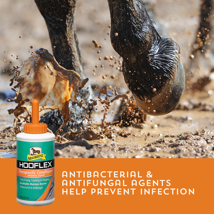 hooflex cond liquid 15oz
