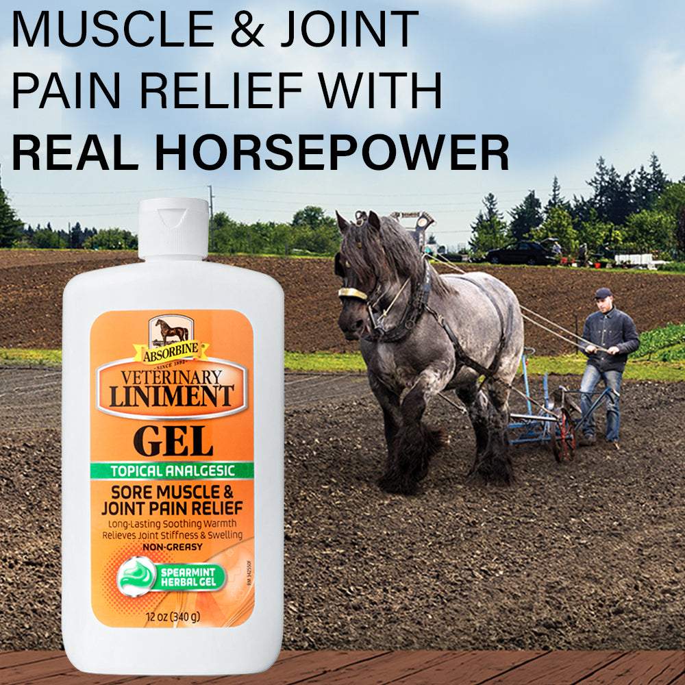 ** vet liniment gel 12oz 430504