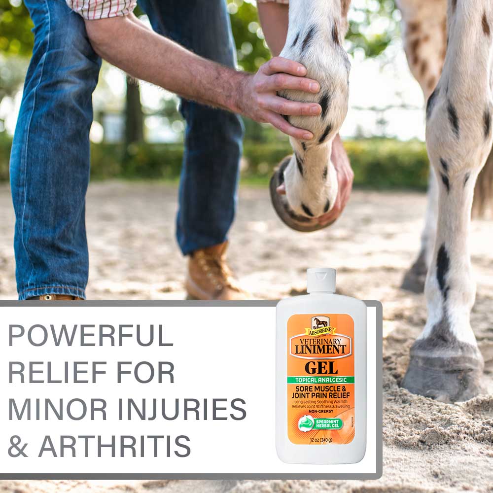 ** vet liniment gel 12oz 430504