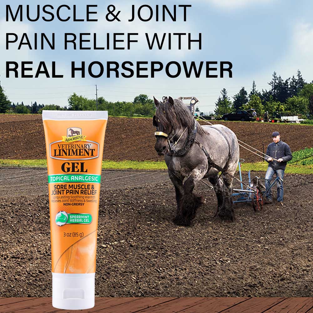 ** absorbine vet liniment gel, 3 oz tube