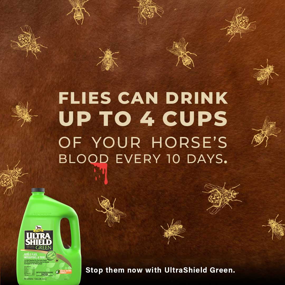 ultrashield green, gallon