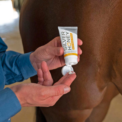 Silver Honey Rapid Wound Repair, Ointment, 2 oz