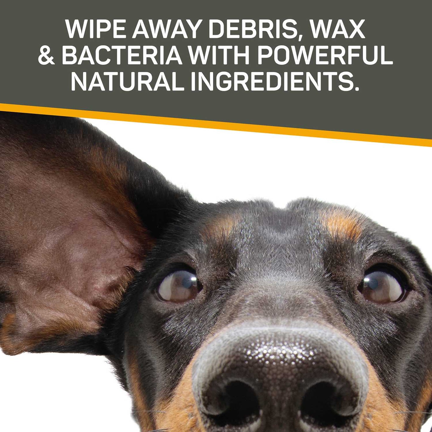 silver honey rapid ear care vet strength pet wipes 50ct jar