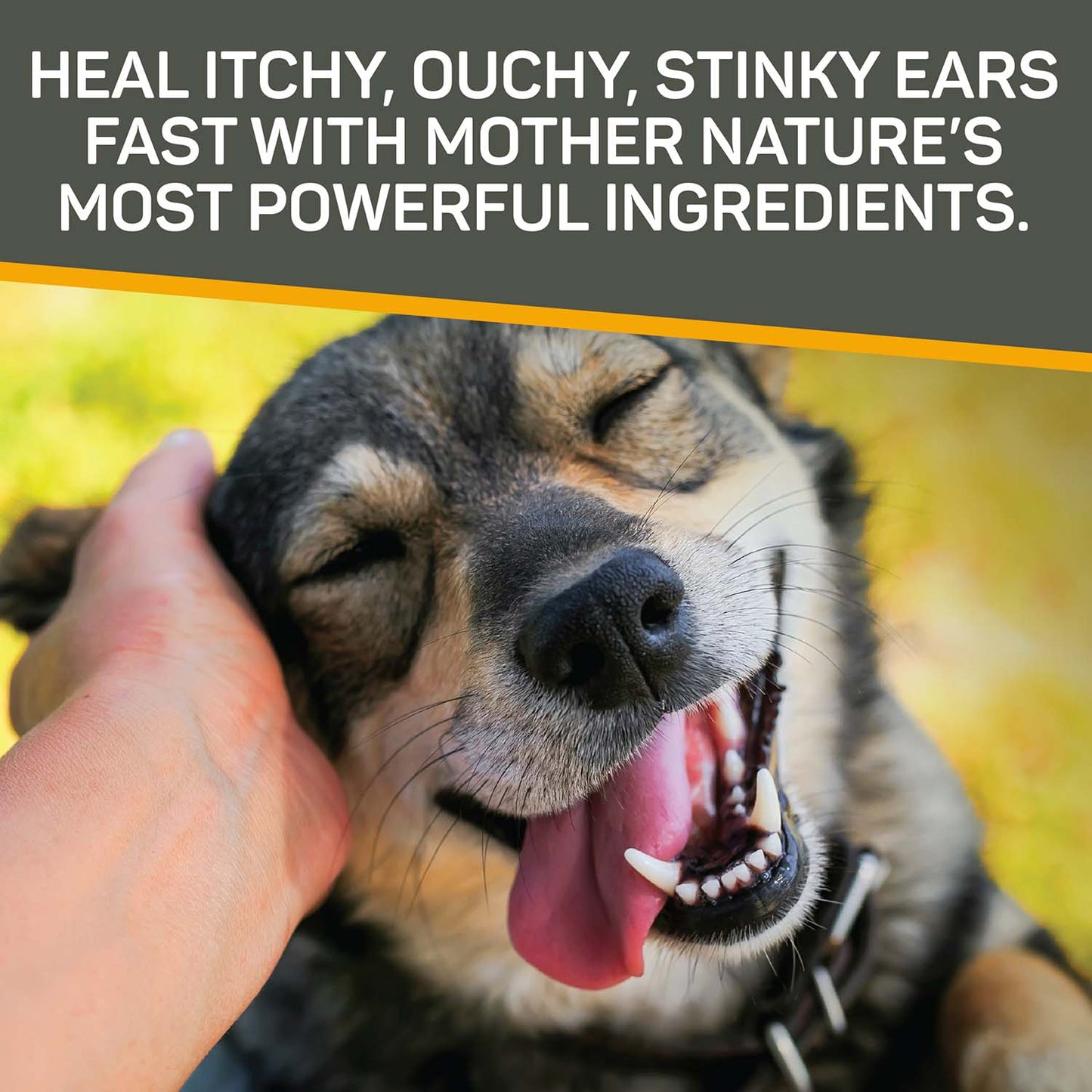 silver honey rapid ear care vet strength ear treatment rinse + concentrated doses