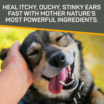 Silver Honey Rapid Ear Care Vet Strength Ear Treatment Rinse + Concentrated Doses