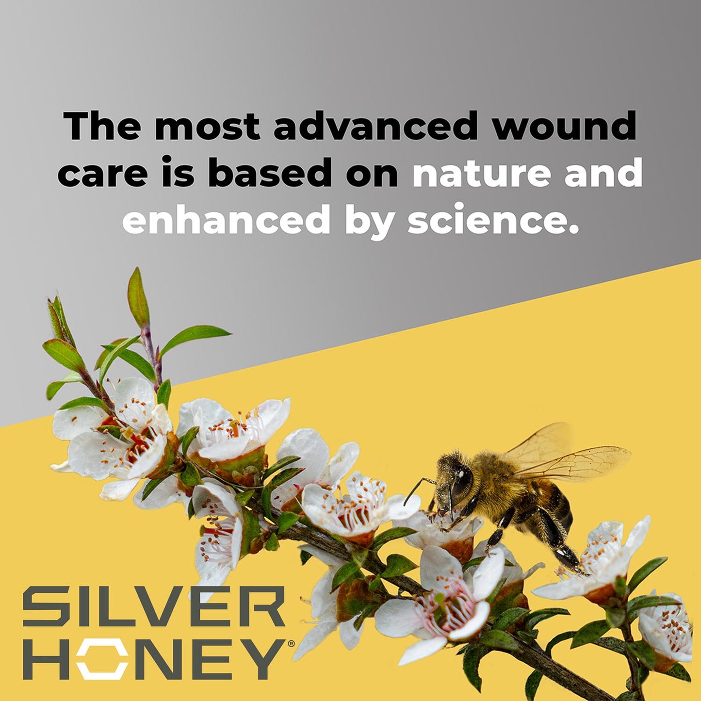 silver honey rapid skin relief medicated shampoo 16 fl oz bottle