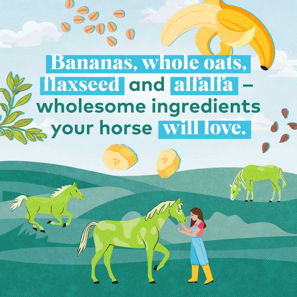 honest to goodness upcycled horse treats – banana
