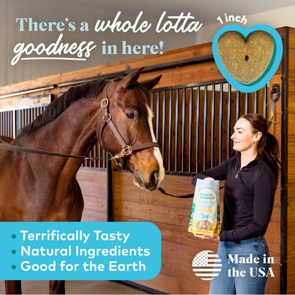 Honest To Goodness Upcycled Horse Treats – Banana