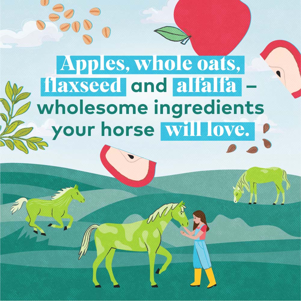 honest to goodness upcycled horse treats – apple