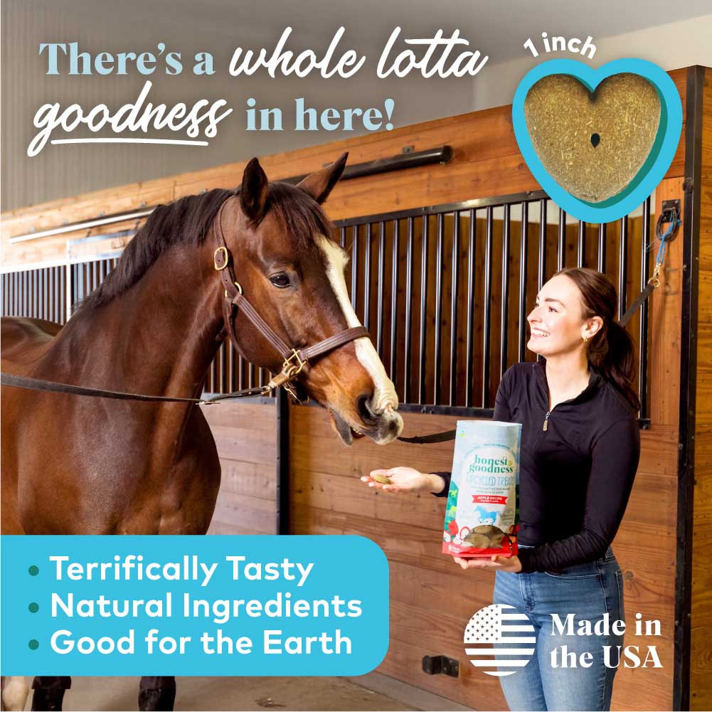 honest to goodness upcycled horse treats – apple
