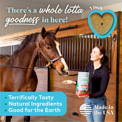 Honest To Goodness Upcycled Horse Treats – Apple